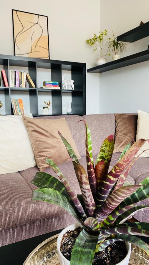Apartment Mira Rózsahegy Kültér fotó